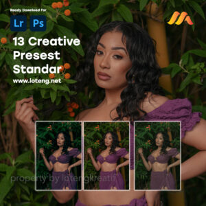 13 Preset Creative Standar For Ligthroom